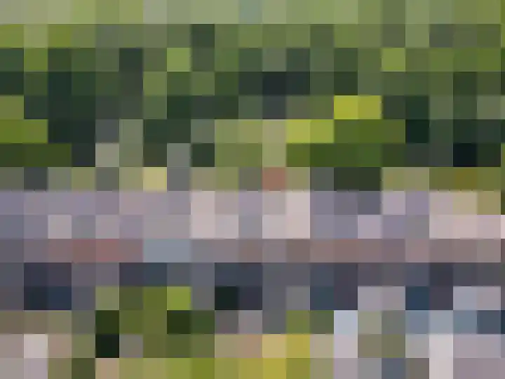Colijnlaan 164 Uithoorn thumbnail 32