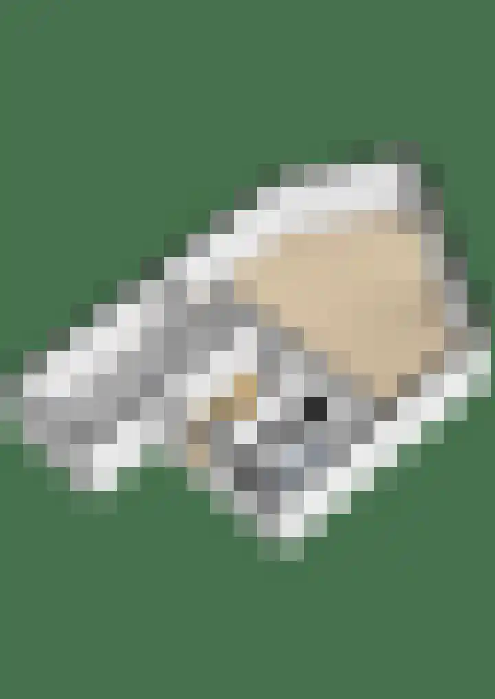 Colijnlaan 164 Uithoorn thumbnail 39