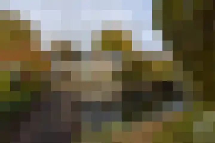 Colijnlaan 184 Uithoorn thumbnail 24