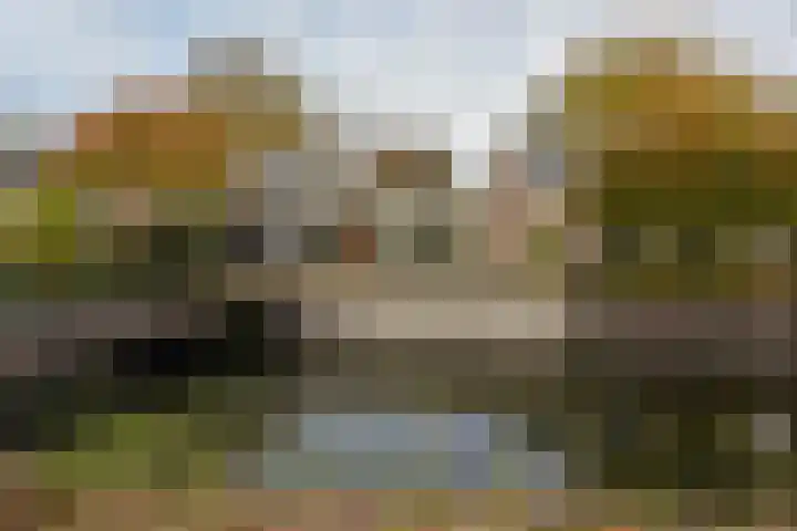 Colijnlaan 184 Uithoorn thumbnail 25