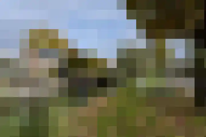 Colijnlaan 184 Uithoorn thumbnail 26
