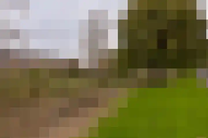 Colijnlaan 184 Uithoorn thumbnail 29