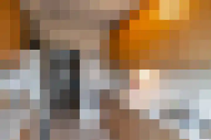 Colijnlaan 36 Groningen thumbnail 8