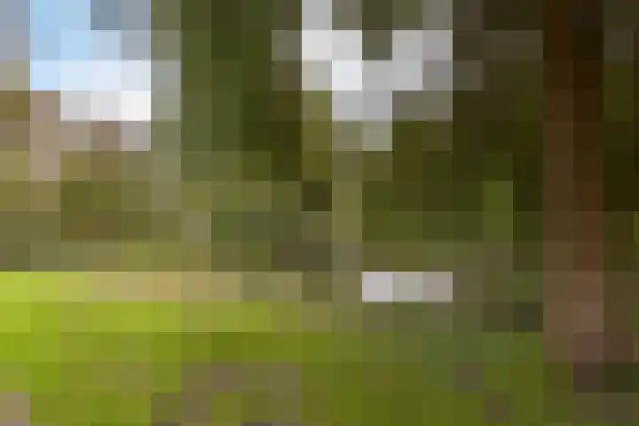 Colijnlaan 36 Uithoorn thumbnail 27