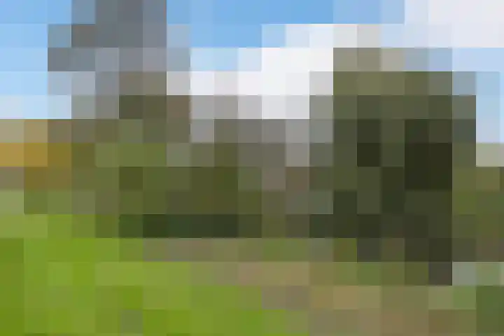 Colijnlaan 36 Uithoorn thumbnail 28