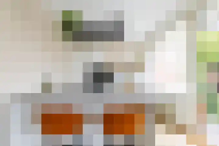 Colijnlaan 41 Groningen thumbnail 17