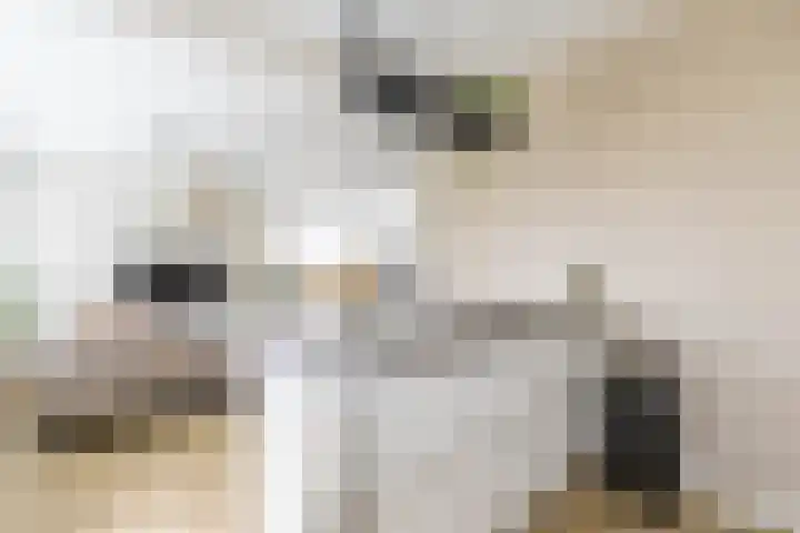 Colijnlaan 41 Groningen thumbnail 18
