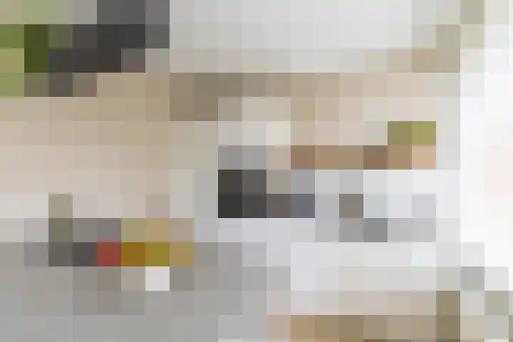Colijnlaan 41 Groningen thumbnail 20