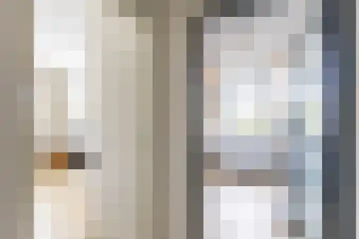 Colijnlaan 41 Groningen thumbnail 22