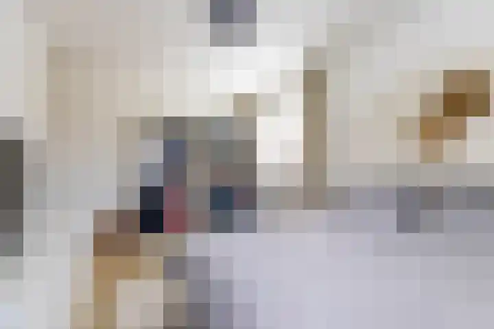 Colijnlaan 41 Groningen thumbnail 24