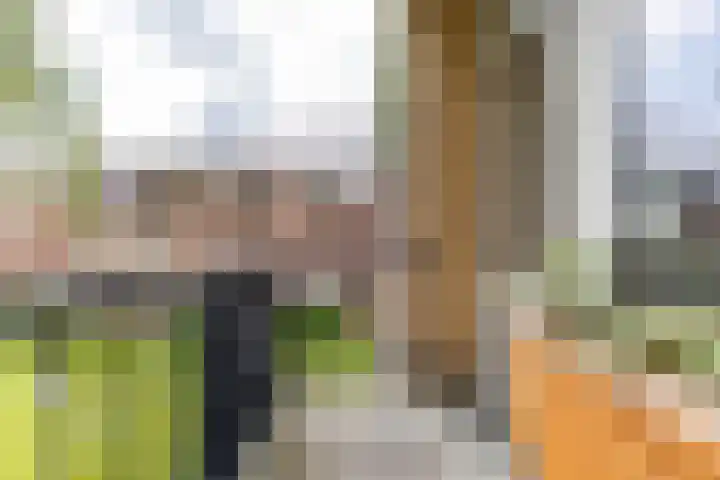 Colijnlaan 41 Groningen thumbnail 32