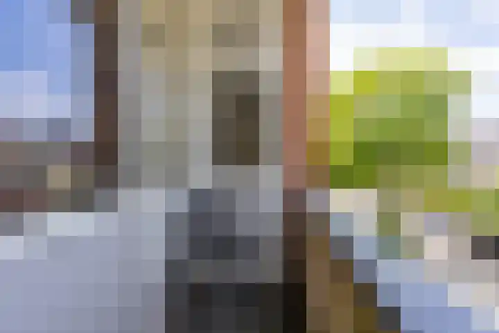 Colijnlaan 41 Groningen thumbnail 34