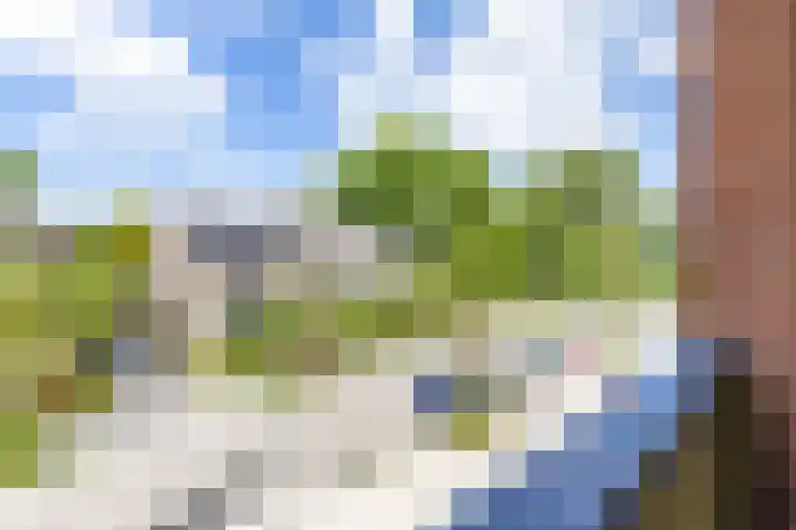 Colijnlaan 41 Groningen thumbnail 36
