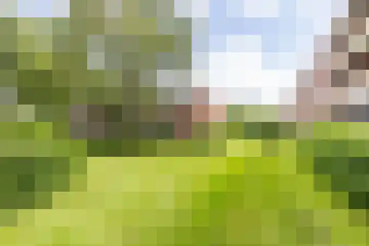 Colijnlaan 41 Groningen thumbnail 37