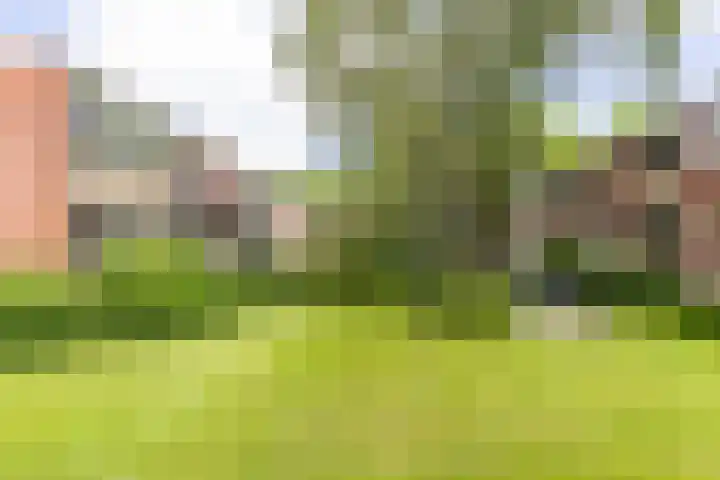 Colijnlaan 41 Groningen thumbnail 38