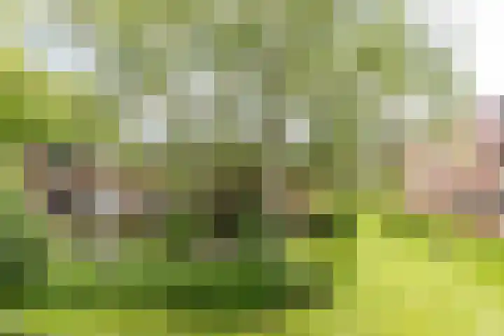 Colijnlaan 41 Groningen thumbnail 39