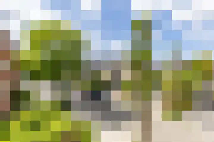 Colijnlaan 41 Groningen thumbnail 42