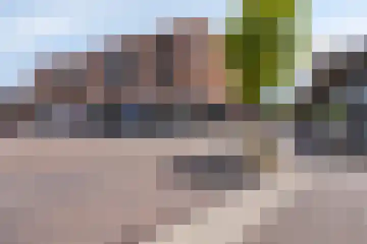 Colijnlaan 74 Kampen thumbnail 28