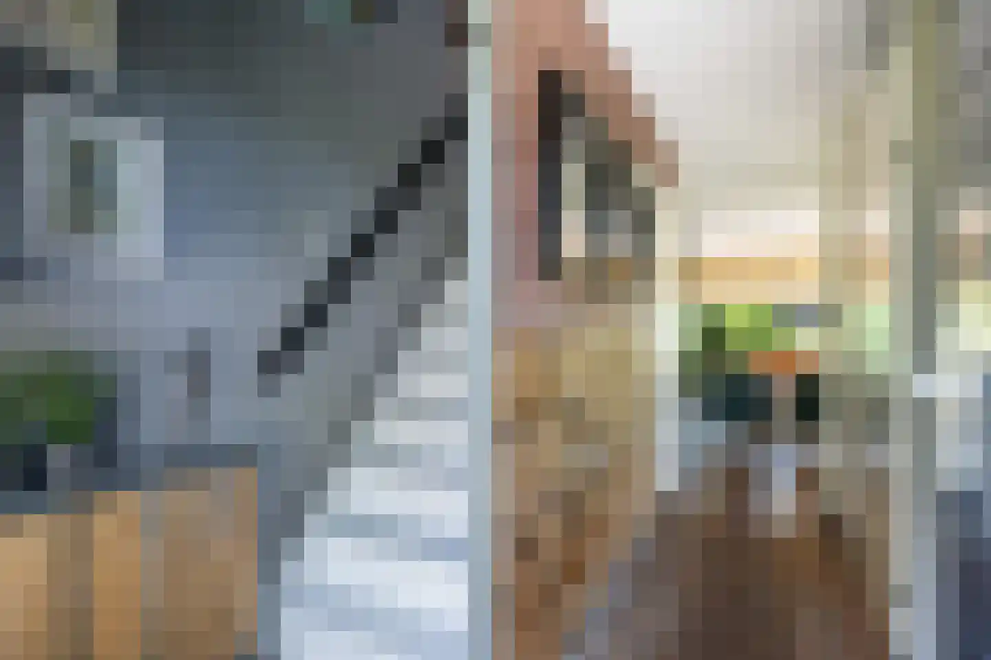 Colijnplein 23 IJsselstein thumbnail 8