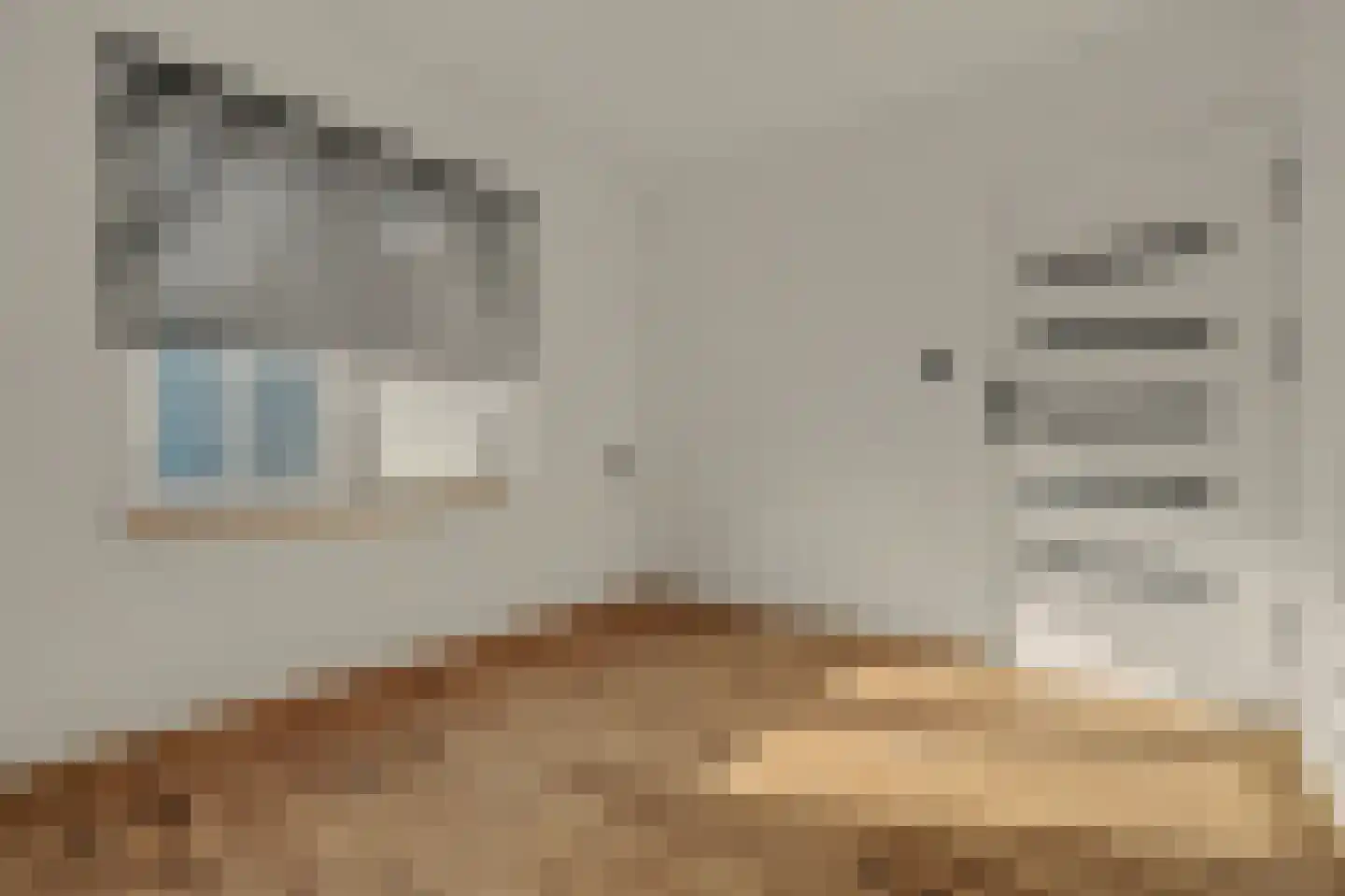 Colijnsplaatseweg 19 Colijnsplaat thumbnail 12