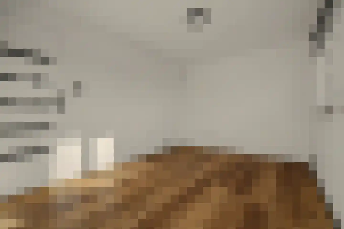 Colijnsplaatseweg 19 Colijnsplaat thumbnail 13