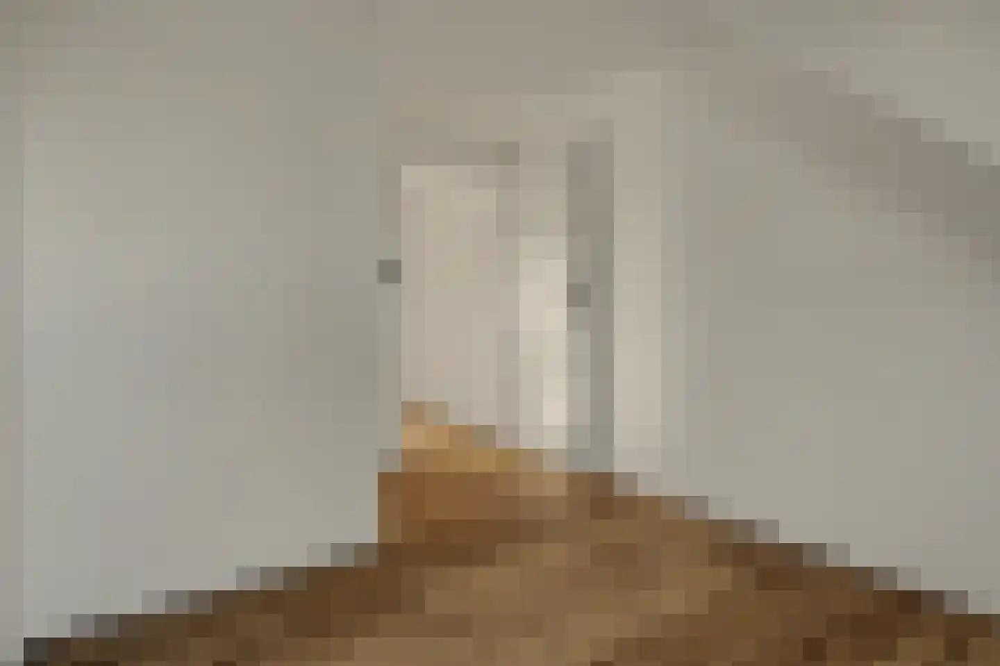 Colijnsplaatseweg 19 Colijnsplaat thumbnail 14