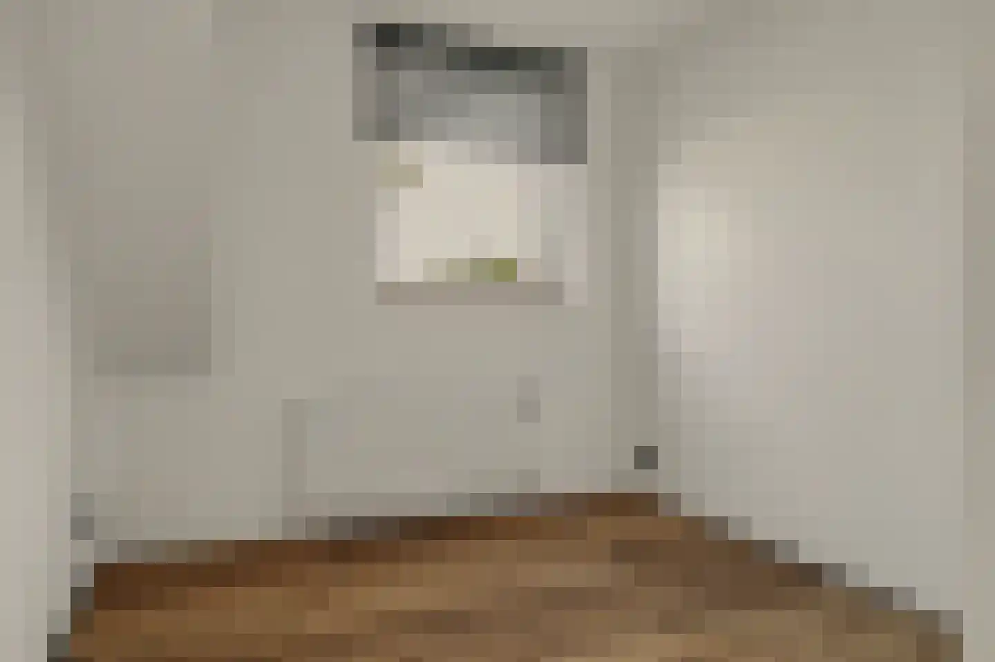 Colijnsplaatseweg 19 Colijnsplaat thumbnail 15