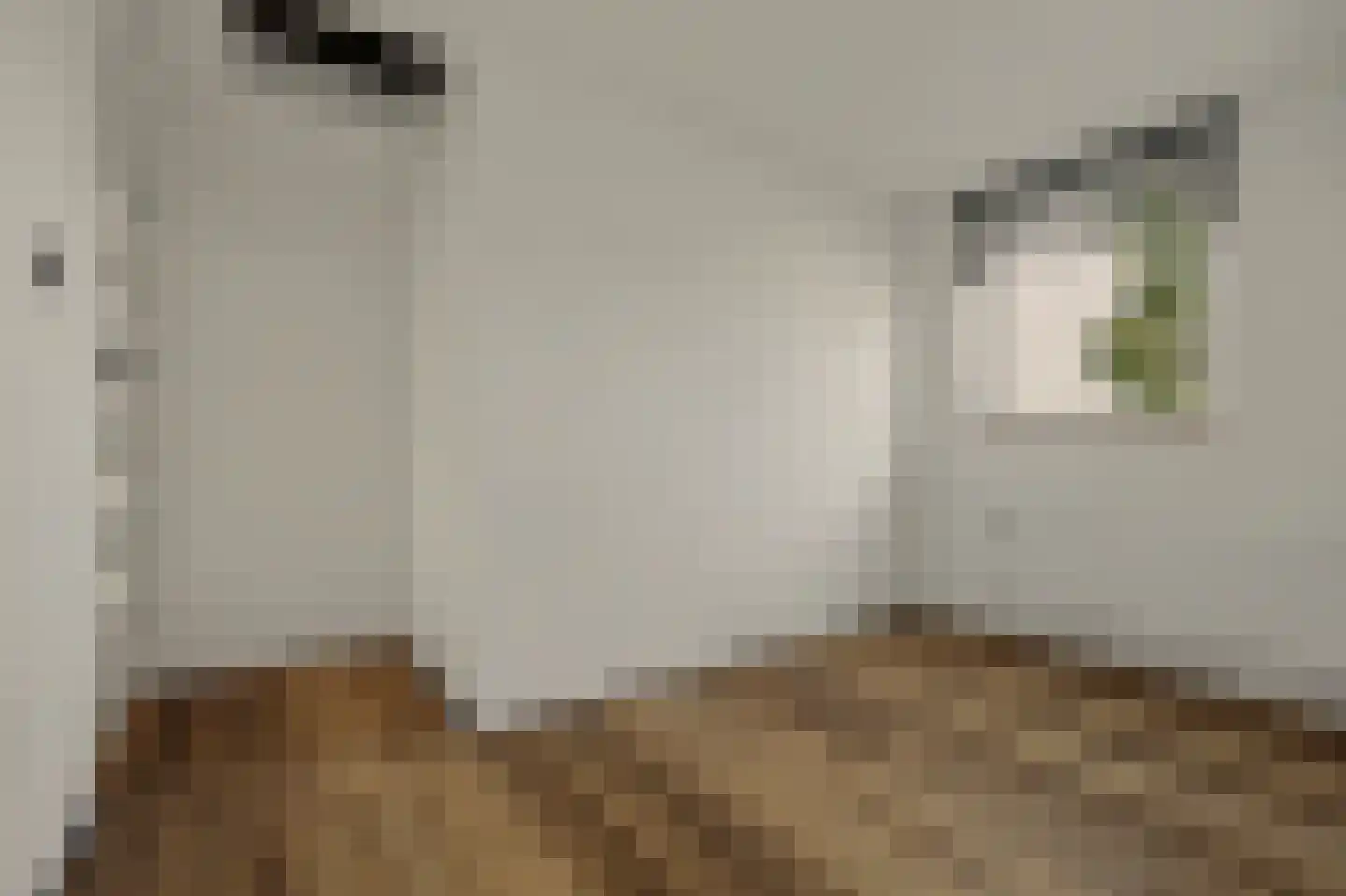 Colijnsplaatseweg 19 Colijnsplaat thumbnail 16