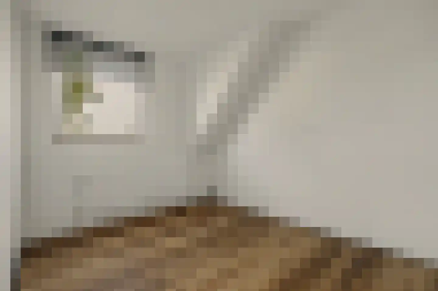 Colijnsplaatseweg 19 Colijnsplaat thumbnail 17