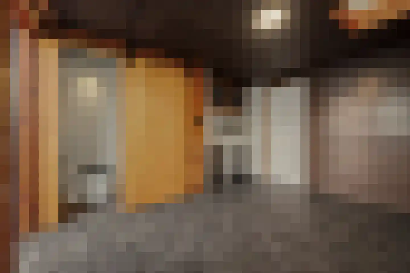 Colijnsplaatseweg 19 Colijnsplaat thumbnail 20