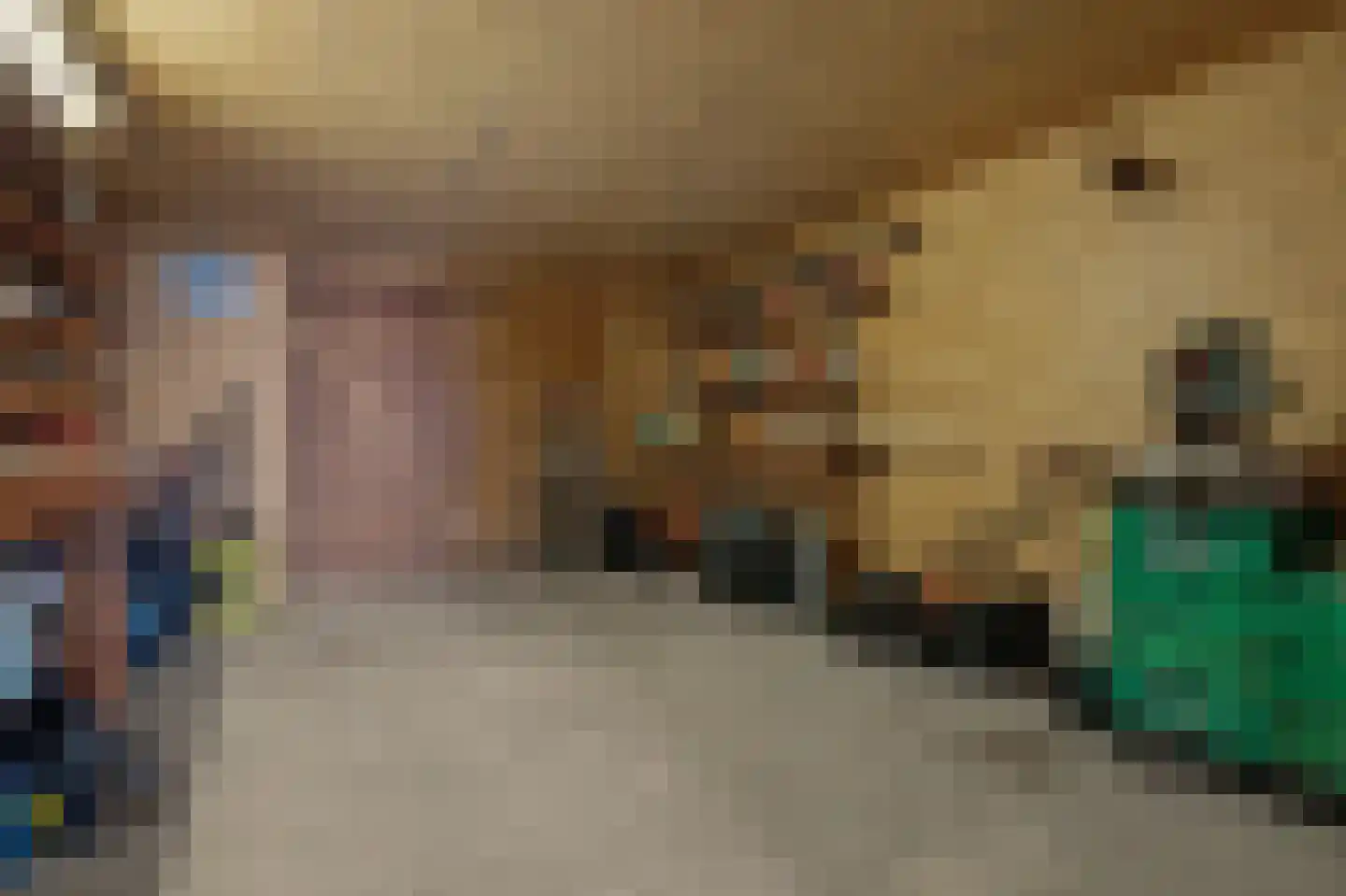 Colijnsplaatseweg 19 Colijnsplaat thumbnail 22