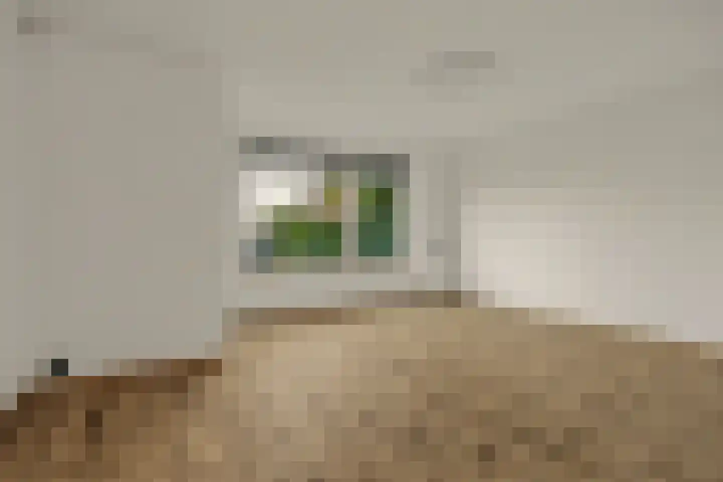 Colijnsplaatseweg 19 Colijnsplaat thumbnail 7