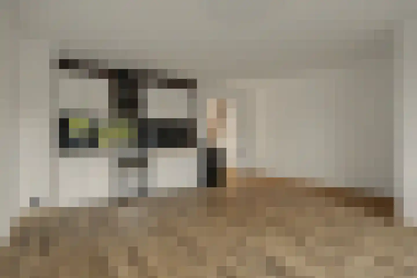 Colijnsplaatseweg 19 Colijnsplaat thumbnail 8