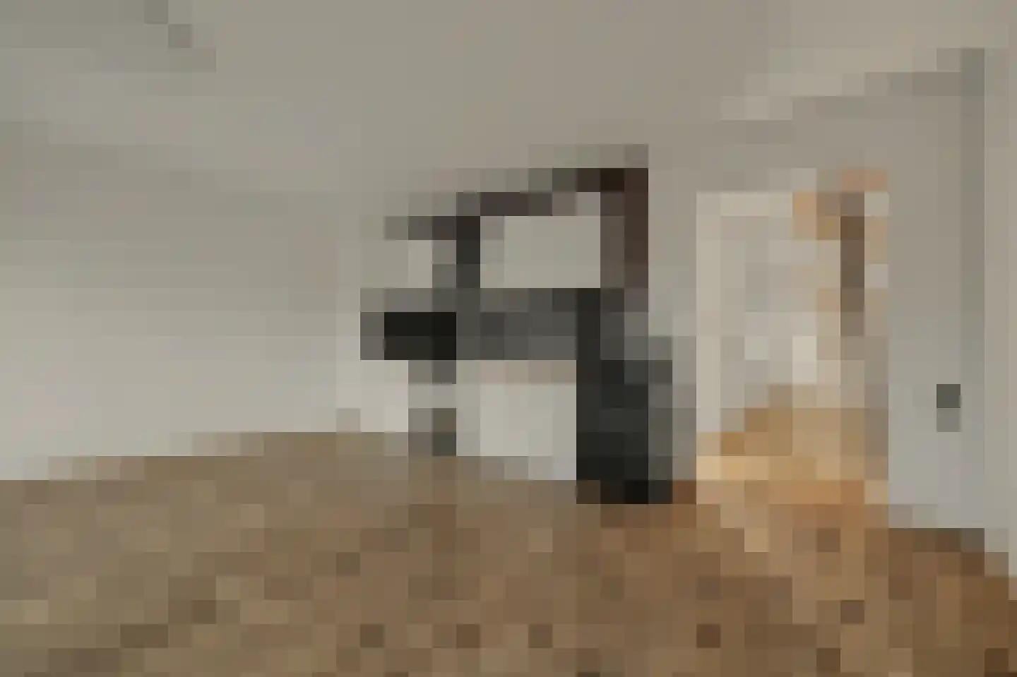 Colijnsplaatseweg 19 Colijnsplaat thumbnail 9