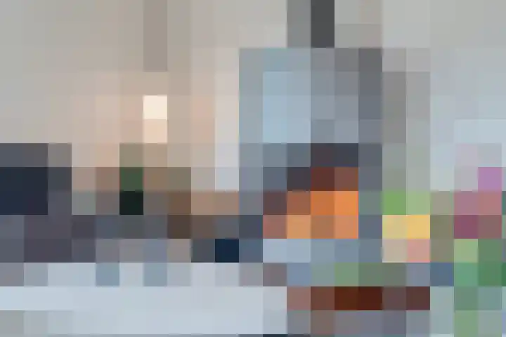 Colijnspolder 31 Bergen op Zoom thumbnail 11