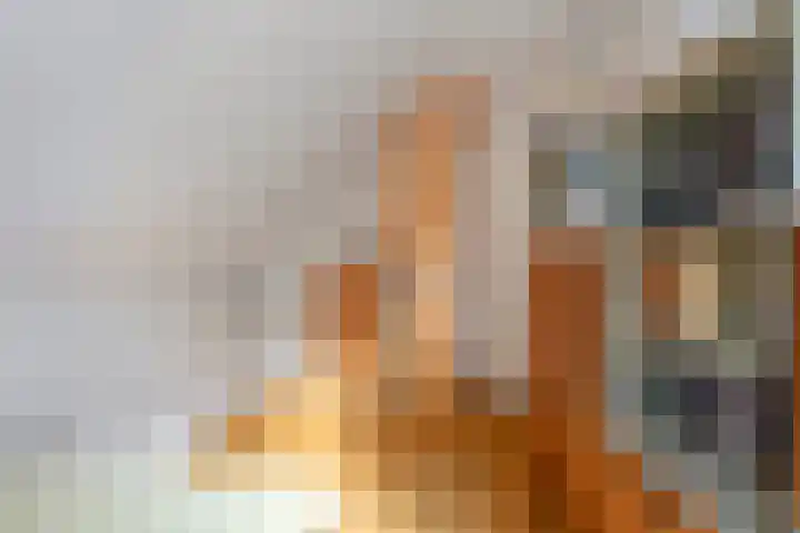 Colijnspolder 31 Bergen op Zoom thumbnail 32