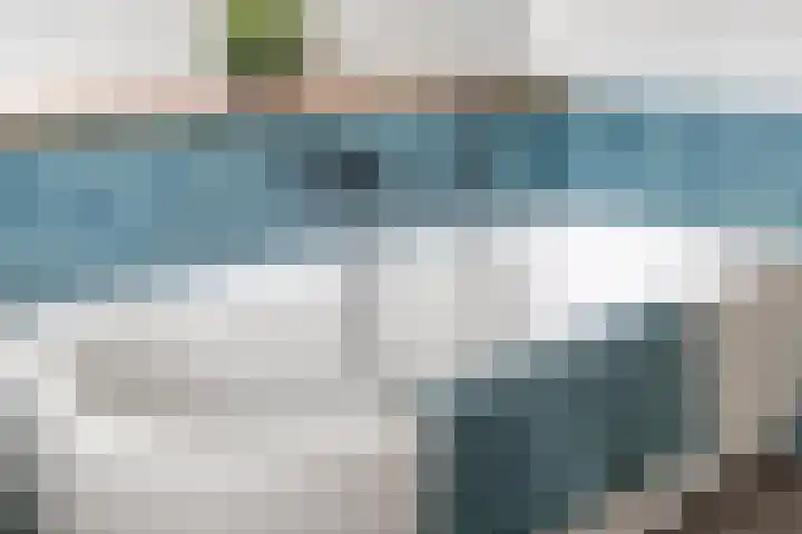 Colijnspolder 31 Bergen op Zoom thumbnail 34