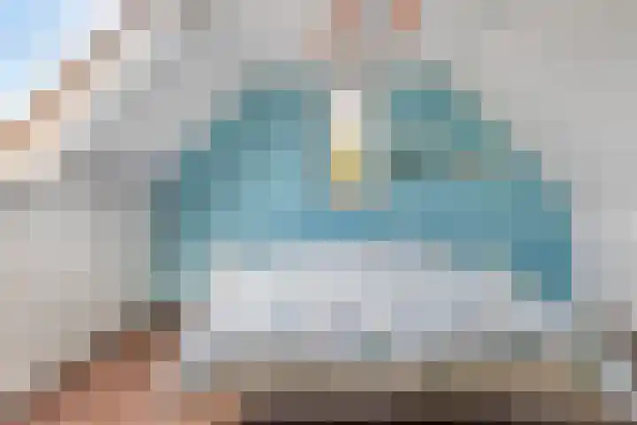 Colijnspolder 31 Bergen op Zoom thumbnail 37