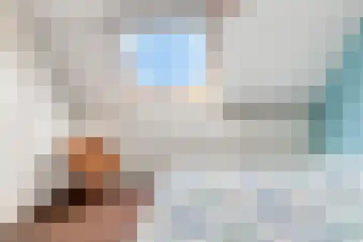 Colijnspolder 31 Bergen op Zoom thumbnail 38