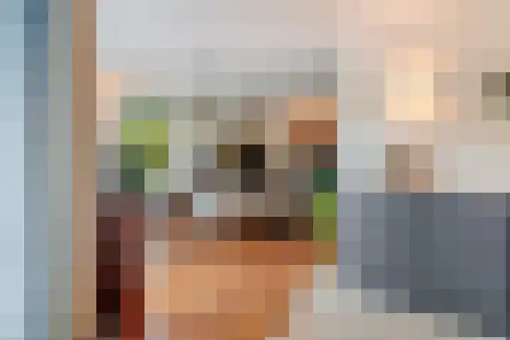 Colijnspolder 31 Bergen op Zoom thumbnail 4
