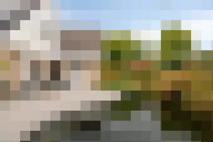 Colijnspolder 31 Bergen op Zoom thumbnail 43
