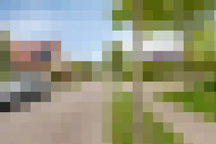 Colijnspolder 31 Bergen op Zoom thumbnail 44
