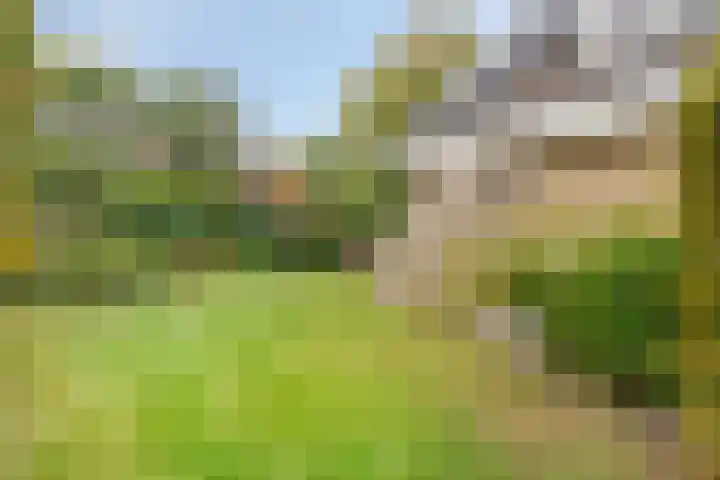 Colijnspolder 31 Bergen op Zoom thumbnail 45