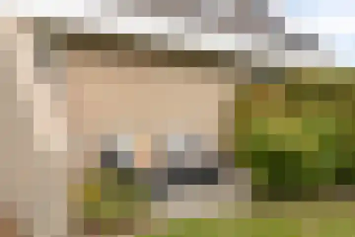 Colijnspolder 31 Bergen op Zoom thumbnail 47