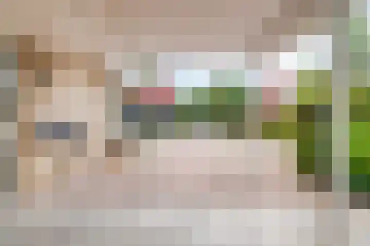 Colijnspolder 31 Bergen op Zoom thumbnail 49