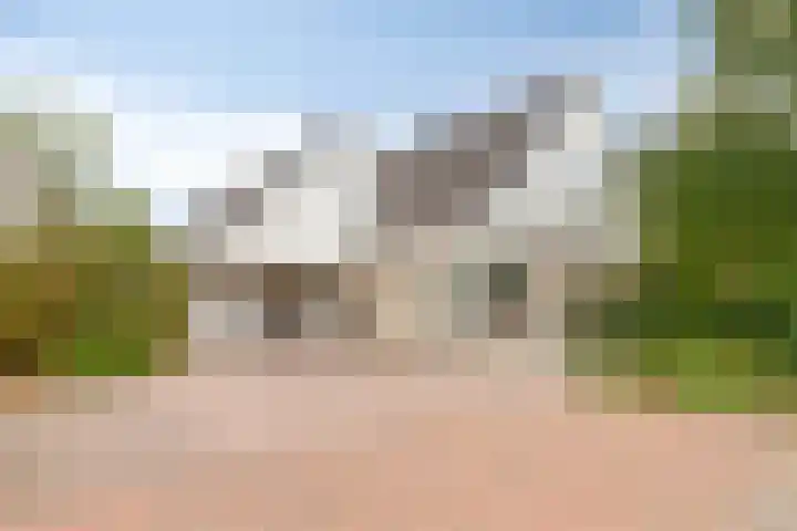 Colijnspolder 31 Bergen op Zoom thumbnail 50