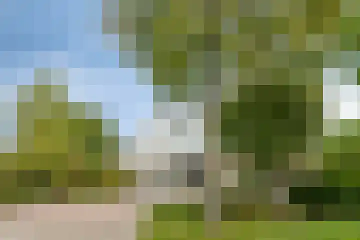 Colijnspolder 31 Bergen op Zoom thumbnail 51
