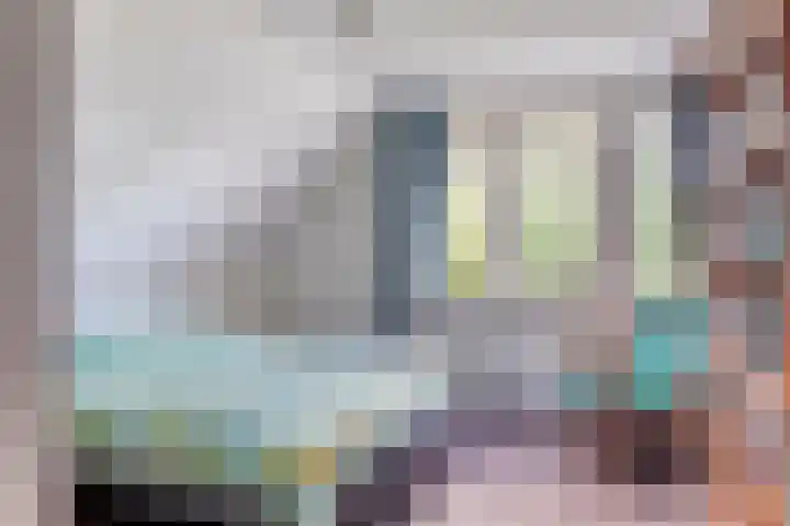 Colijnspolder 31 Bergen op Zoom thumbnail 6