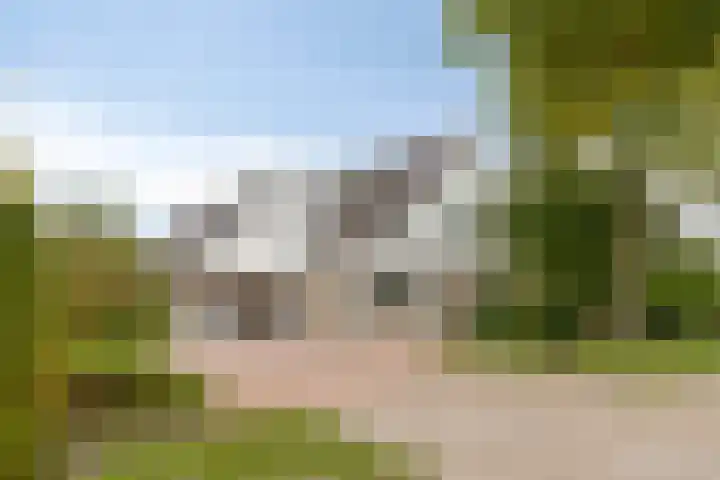 Colijnspolder 31 Bergen op Zoom thumbnail 7