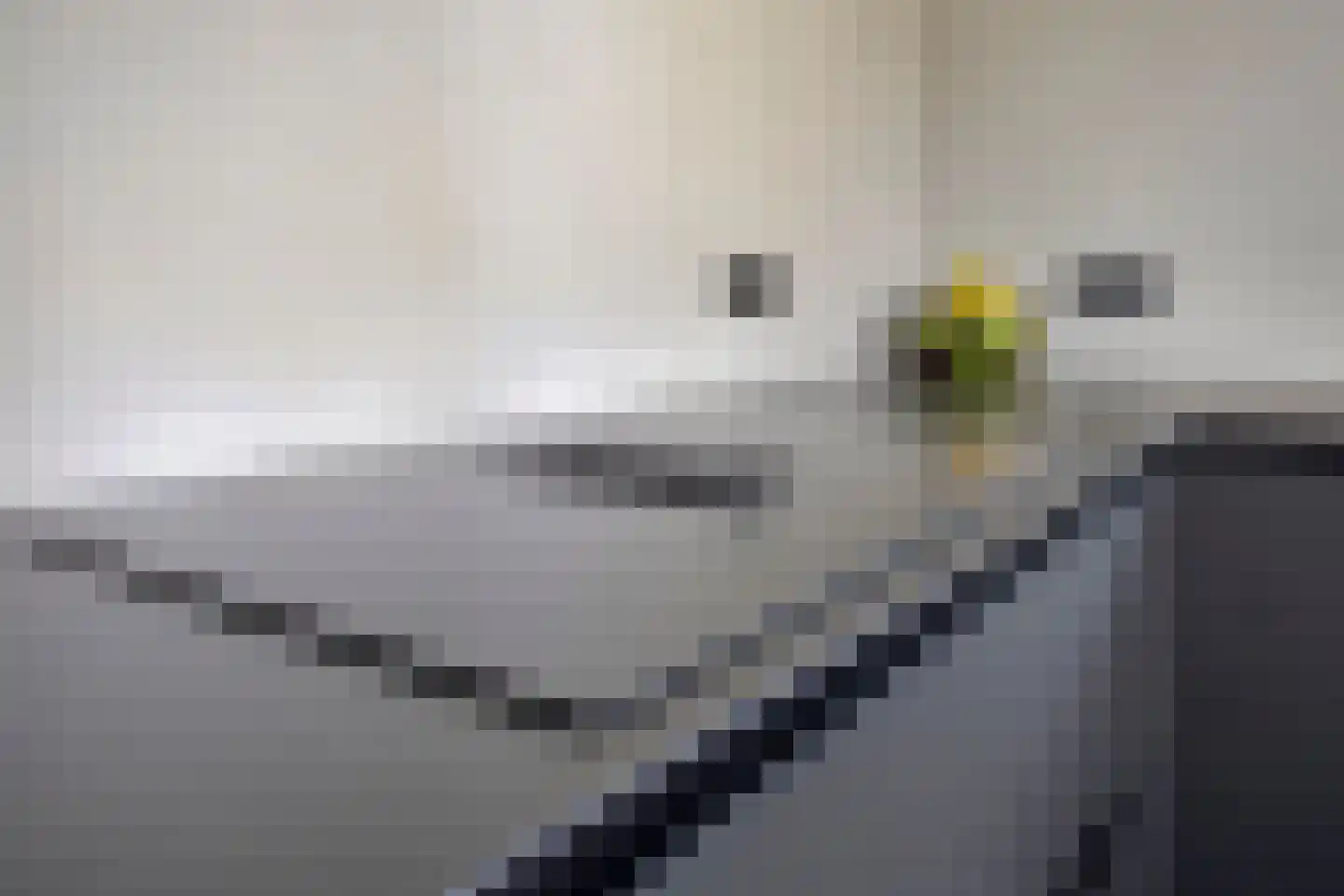 Colijnspolder 5 Bergen op Zoom thumbnail 12